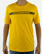 9673 Amarelo M