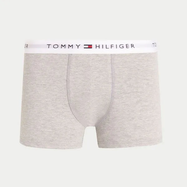 Kit Cueca Tommy Hilfiger Pack Com 2