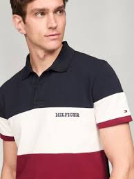 Polo Tommy Hilfiger Multicolor