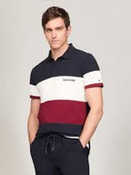 Polo Tommy Hilfiger Multicolor