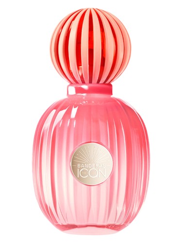 The Icon Splendid Eau de Parfum Banderas