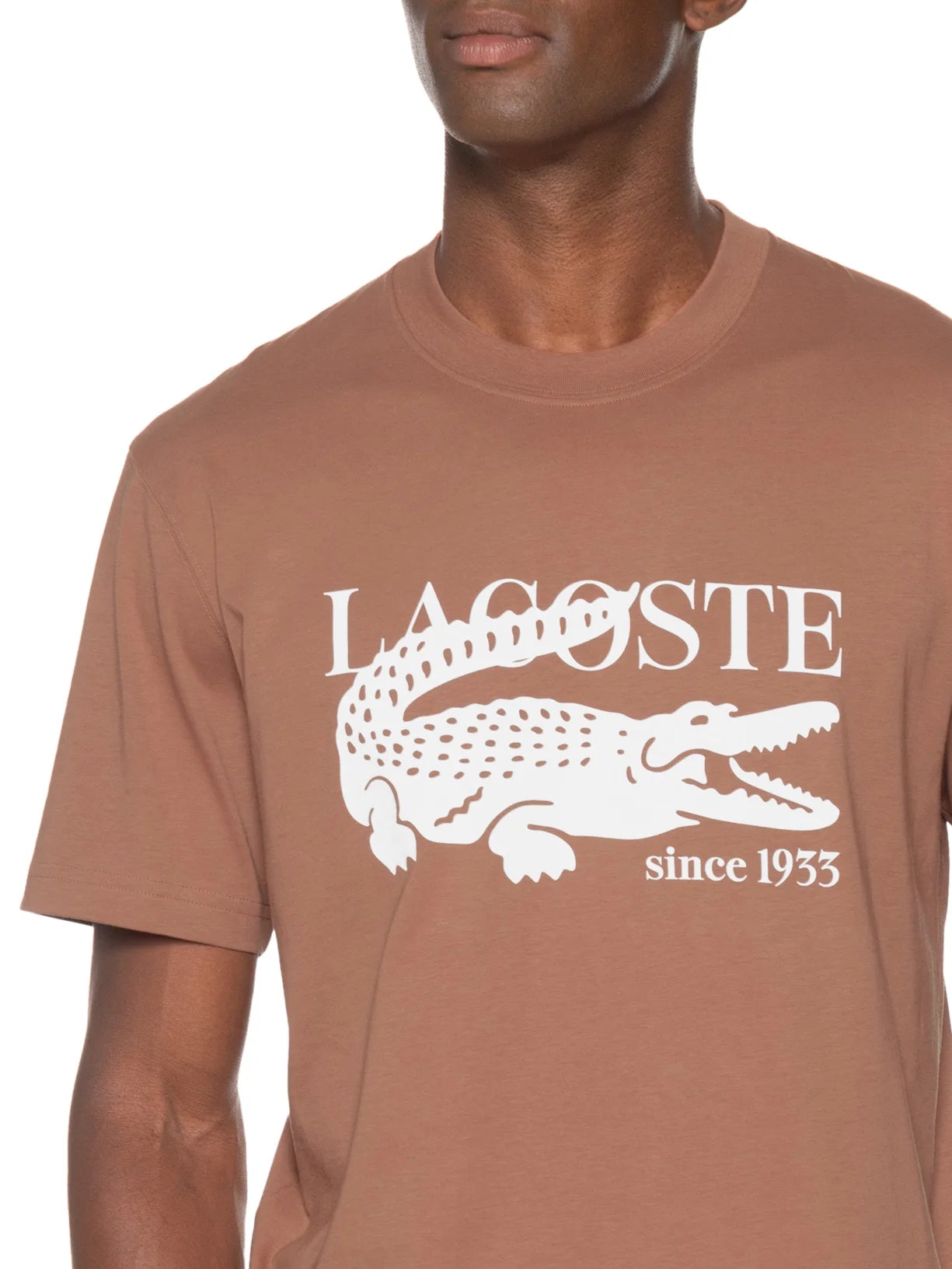 Camiseta Masculina Classic Fit Midweight Marrom Lacoste