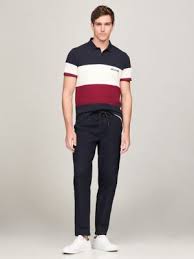 Polo Tommy Hilfiger Multicolor